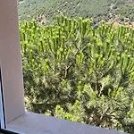 Hostel La Parra *