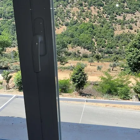 La Parra بيت شباب *