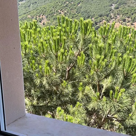 بيت شباب La Parra *